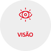 Visão